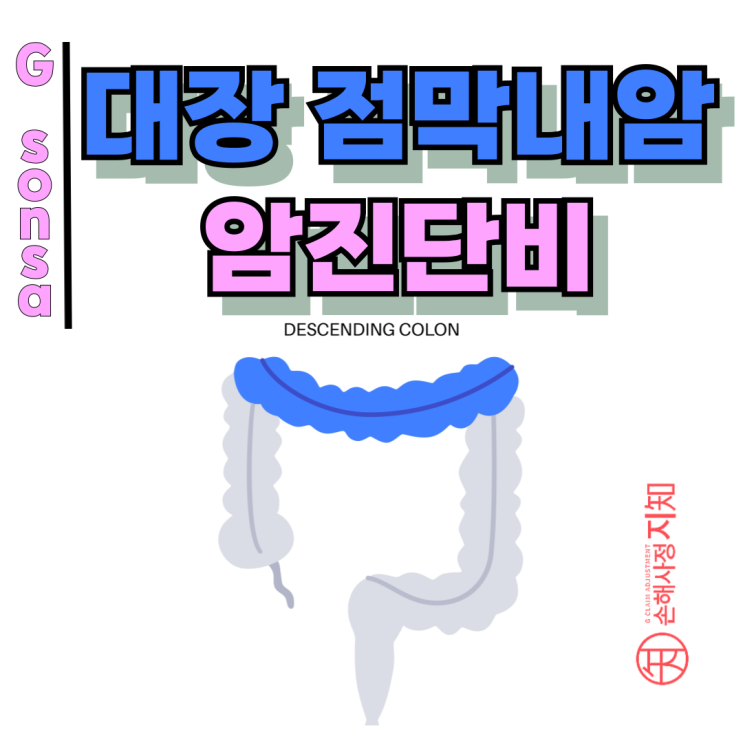  대장점막내암 암진단비 – 같은 진단, 누구는 전액 누구는 소액?