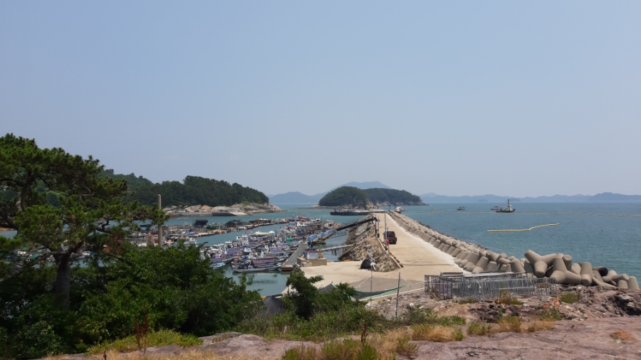 바다식당 사진 6