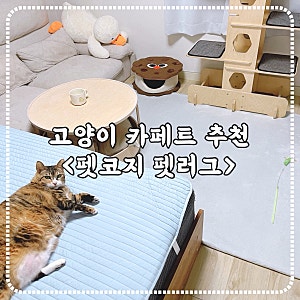 펫코지 고양이 카페트 워셔블 펫러그로 딱이예요