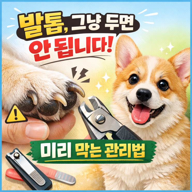  ️ 강아지 발톱 과성장 방지하기, 방치하면 걸음걸이가 달라집니다