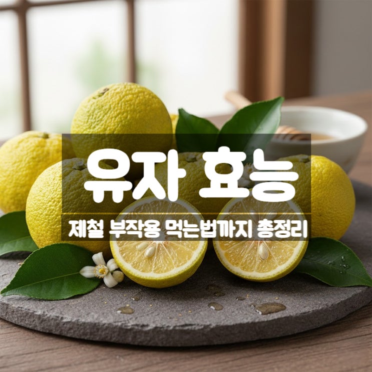  유자 효능 부작용 먹는법 – 겨울철 감기 면역력에 좋은 유자차