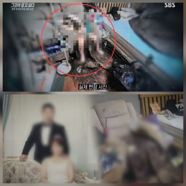 그것이알고싶다 구더기 부사관 사건 총정리