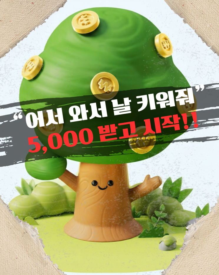  케이뱅크 돈나무 영양제, 물만 주시나요?