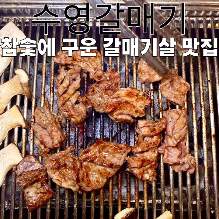  부산 수영 맛집 수영갈매기 : 참숯에 구워먹는 갈매기살 맛집 [부산 수영]