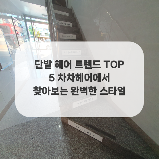  단발 헤어 트렌드 TOP 5 차차헤어에서 찾아보는 완벽한 스타일