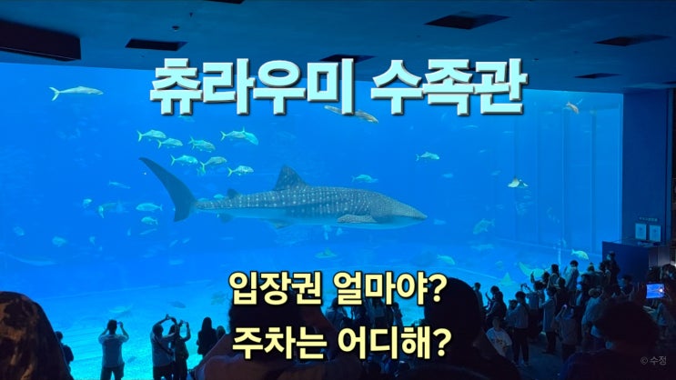 추라우미 수족관 입장료 운영시간 주차 꿀팁
