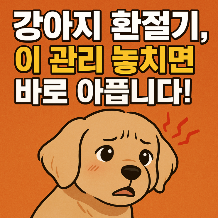   강아지 환절기 건강 관리｜이 시기, 아프기 쉬운 이유가 있습니다