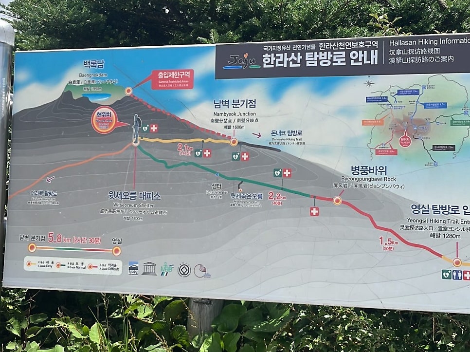 돈내코로타리김밥 사진 6