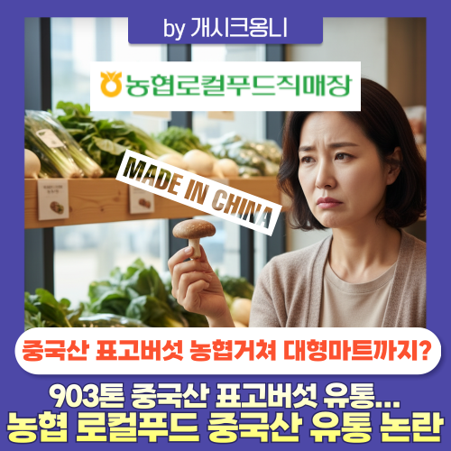 농협 903톤 중국산 표고버섯 유통 논란 | 농협로컬푸드직매장, 대형마트까지 중국산 버섯이 ....