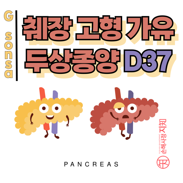  췌장고형가유두상종양 D37, 암진단비 못 받는다는 말 사실인가요?