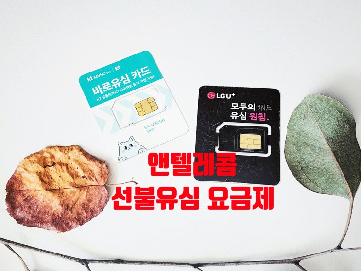  선불유심 요금제 셀프개통 방법