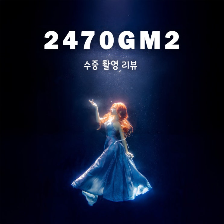  [트리니티 앰배서더] SEL2470GM2와 함께한 수중촬영