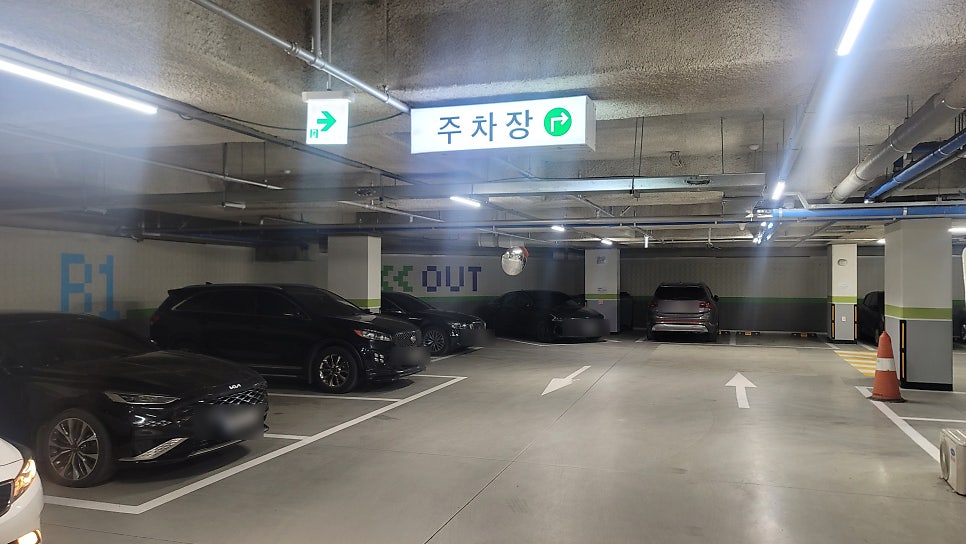 슬로울리인포레스트 사진 2