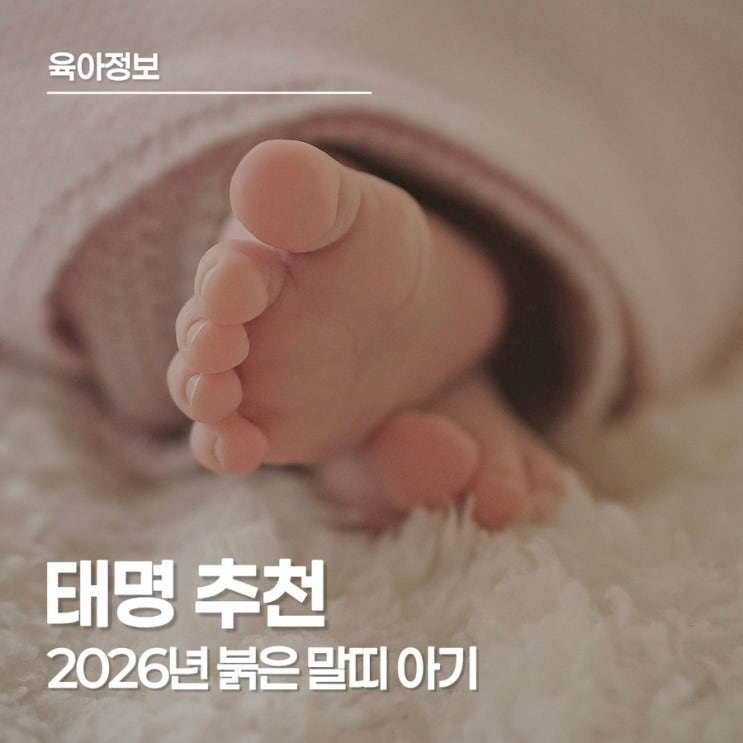  태명 추천 총정리! 2026년 말띠 아기, 엄마 마음 담은 태명 모음