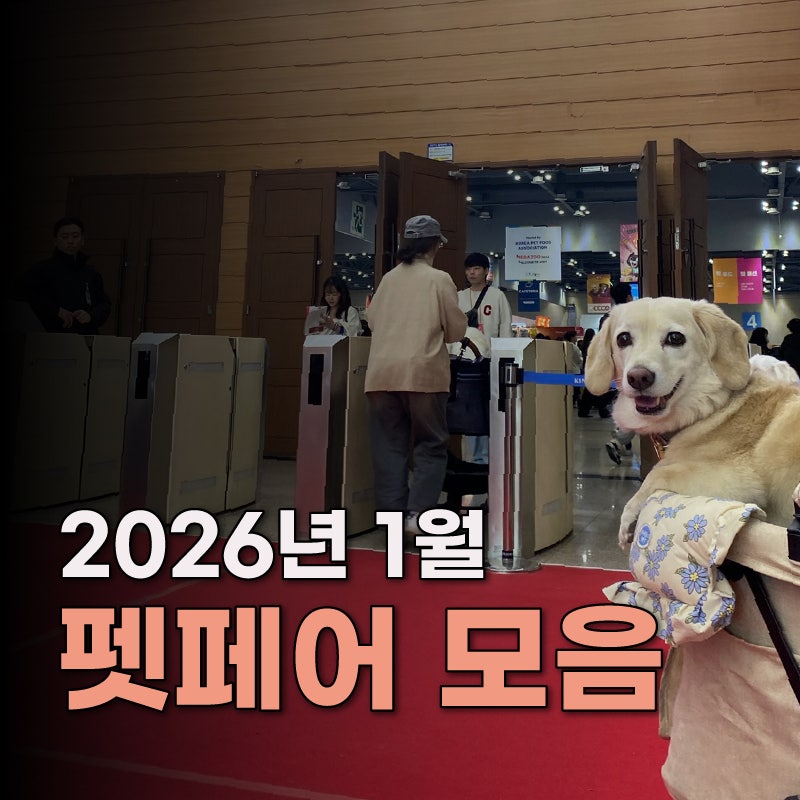 2026년 1월 펫페어,캣페어 모음 [대구/일산/서울/부산]