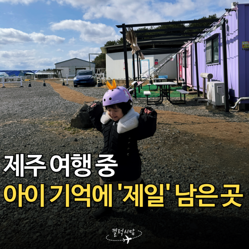 아이가 먼저 또 가자고 한 곳! 제주 서쪽 어린이 승마체험 초원승마클럽