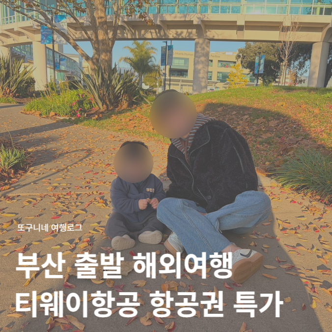  부산 출발 해외여행 항공권 특가 티웨이항공 할인 예매