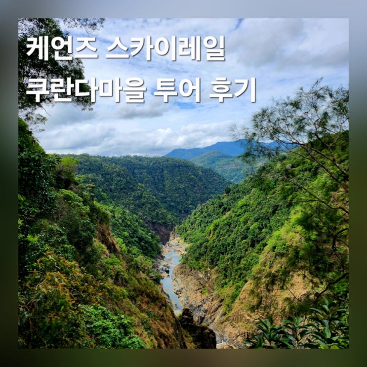  호주 케언즈 스카이레일 곤돌라 쿠란다 레인포레스트 투어 후기
