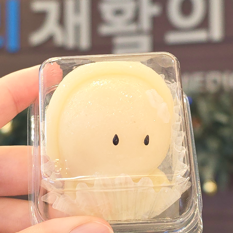  따뜻한 마음이 전해진 하루- 반려동물 100일 떡과 갓 튀긴 꽈배기 선물