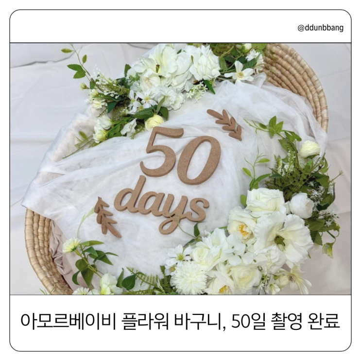  50일 셀프촬영 어렵지 않아요. 아모르베이비 플라워바구니 소품과 함께라면~