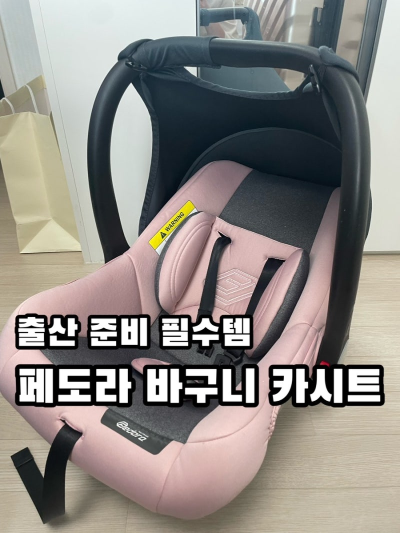 페도라 바구니 카시트 후기ㅣ대여 vs 당근, 세탁, 설치방법 총정리