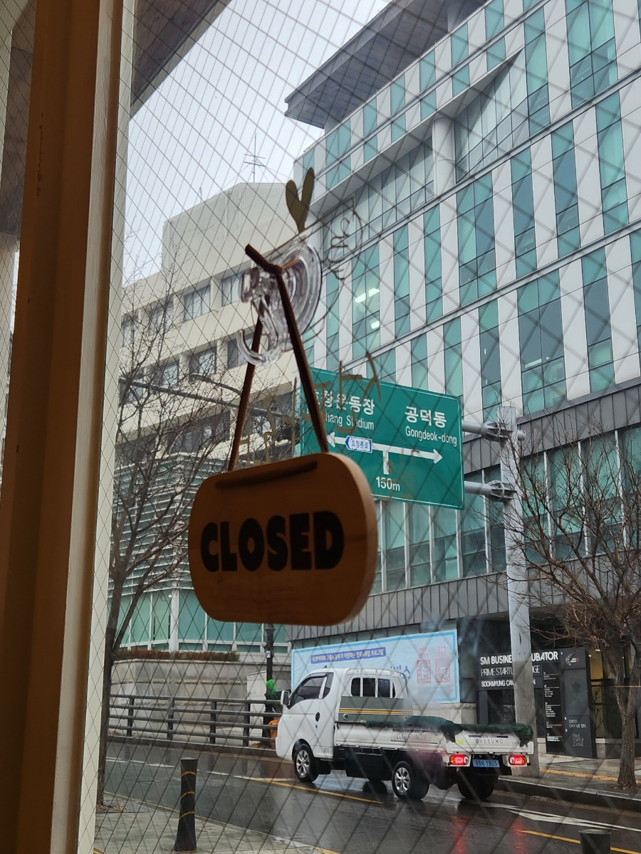 선다래 사진 1