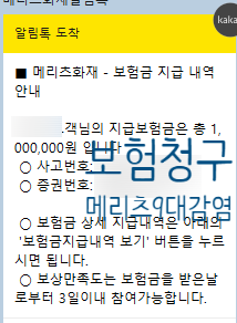 메리츠 9대 감염 수족구 보험 청구하기(청구서류)