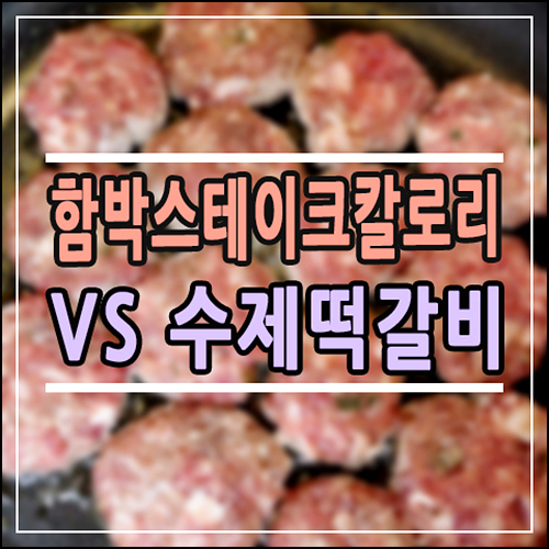  [칼로리 비교 분석] 다이어터도 안심! 함박스테이크 vs 수제떡갈비, 현명한 선택 기준 (별해든 포함)