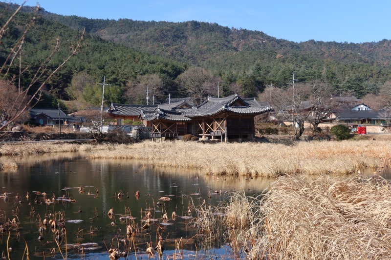 사진 10