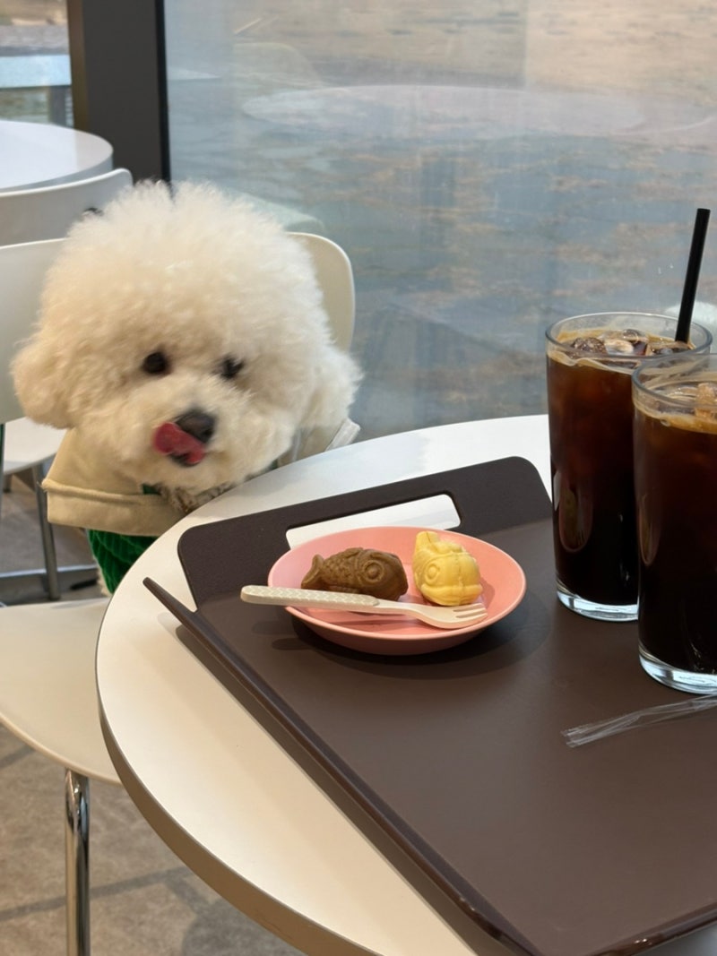 미밍코 롯데몰 광명점