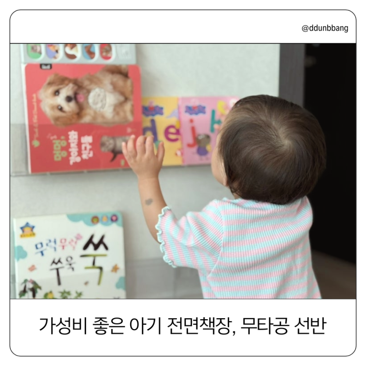  아기 전면책장 고민 끝! 란가구 vs 샘키즈 비교 후 최종 무타공 선반으로 정착한 이유?