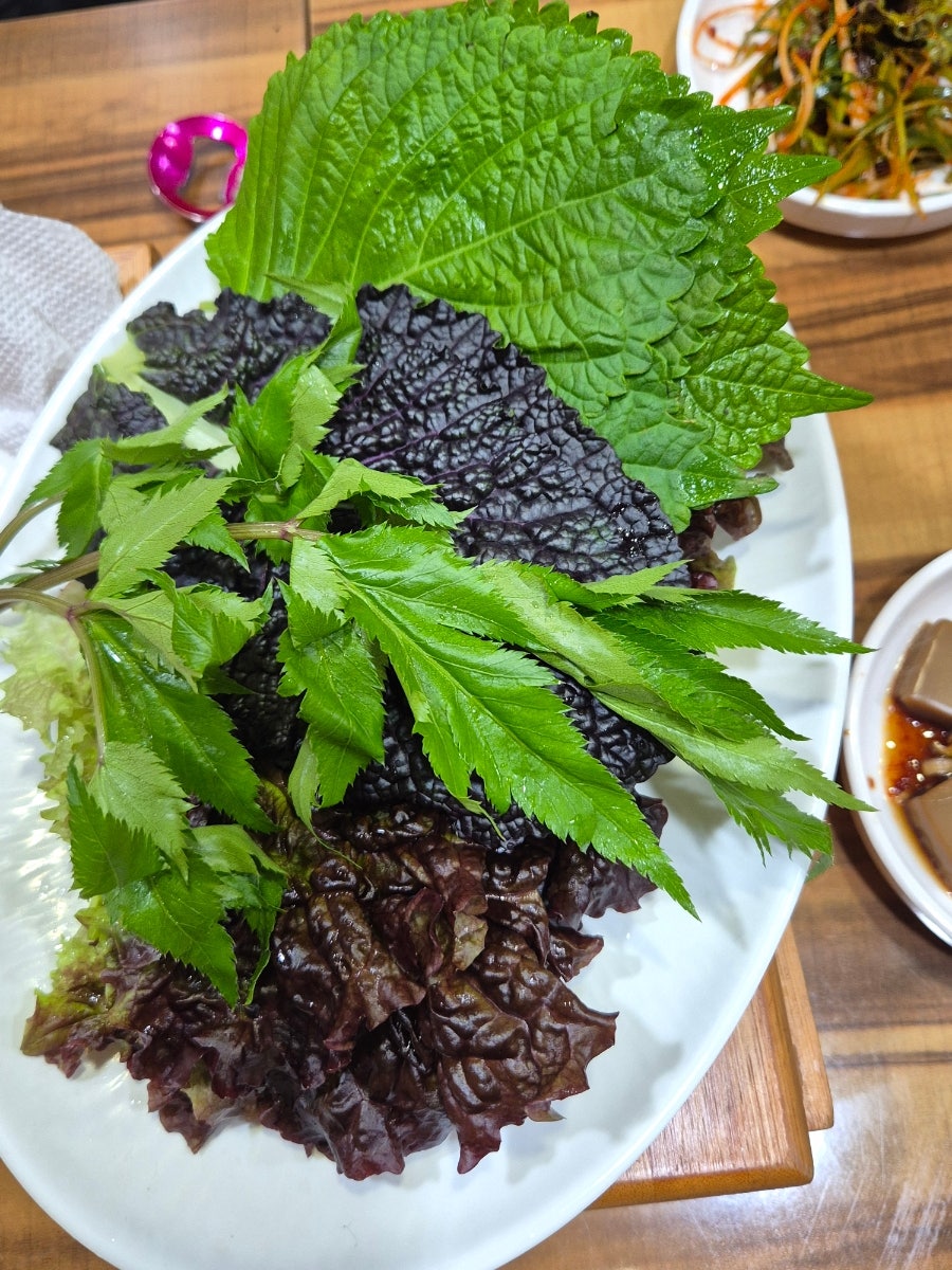고바우 사진 6