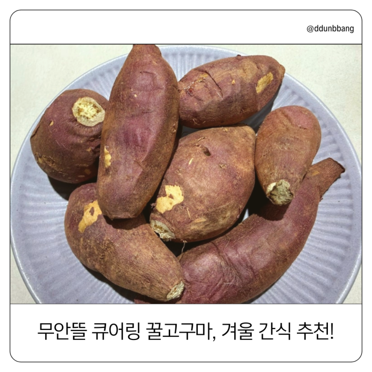  무안뜰 큐어링 꿀고구마, 입 안 가득한 달콤함! 겨울 간식의 최고봉