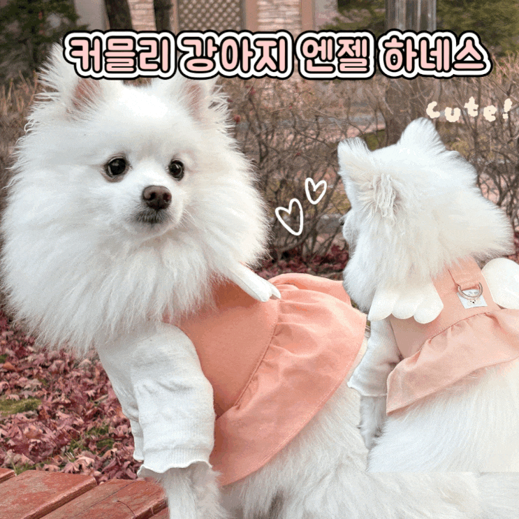  커믈리 강아지 엔젤 하네스 천사 날개 목줄