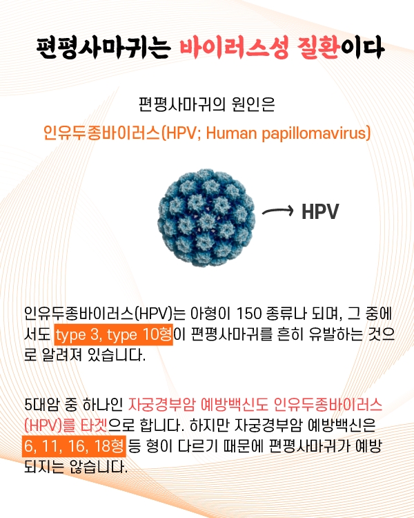  편평성 요철 번지는 이유 왜 점점 늘어날까