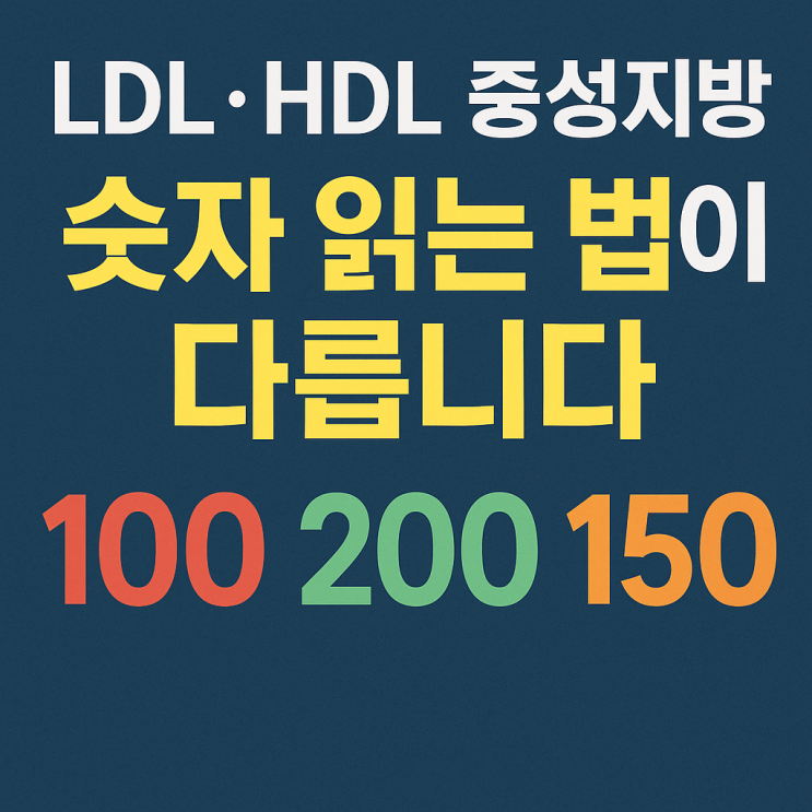   고지혈증 수치, LDL·HDL·중성지방 정확히 읽는 법