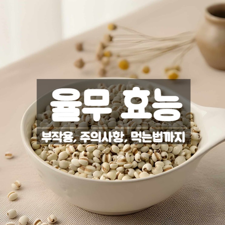  율무 효능 부작용 먹는법 – 붓기 제거 피부에 좋은 음식