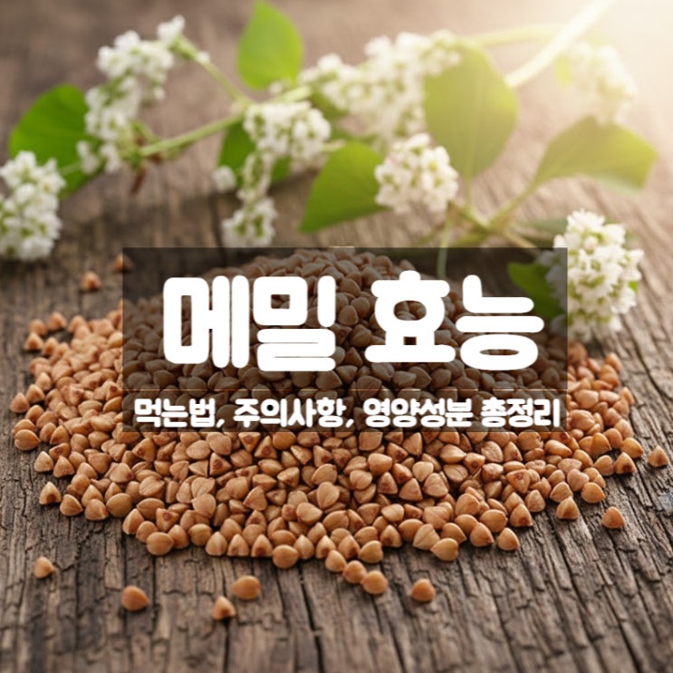  메밀 효능 부작용 먹는법 – 혈당조절 다이어트에 좋은 음식