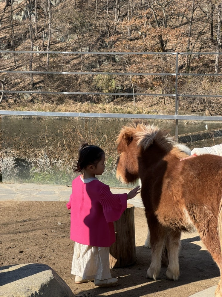  울산 아이와 가볼 만한 곳, 동물들과 교감이 가능한 와글와글