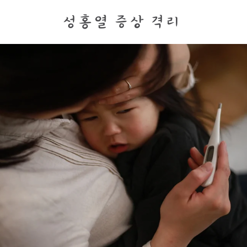 성홍열 초기증상 전염력 격리 기간과 등원 기준 성홍열 치료방법