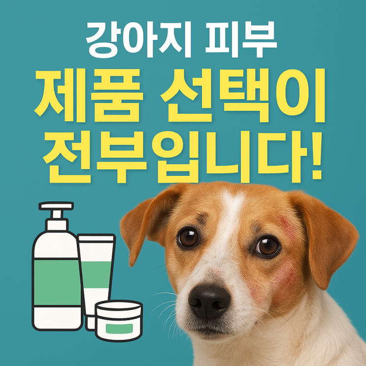   강아지 스킨케어 제품 추천, 피부 타입별로 이렇게 고르세요!