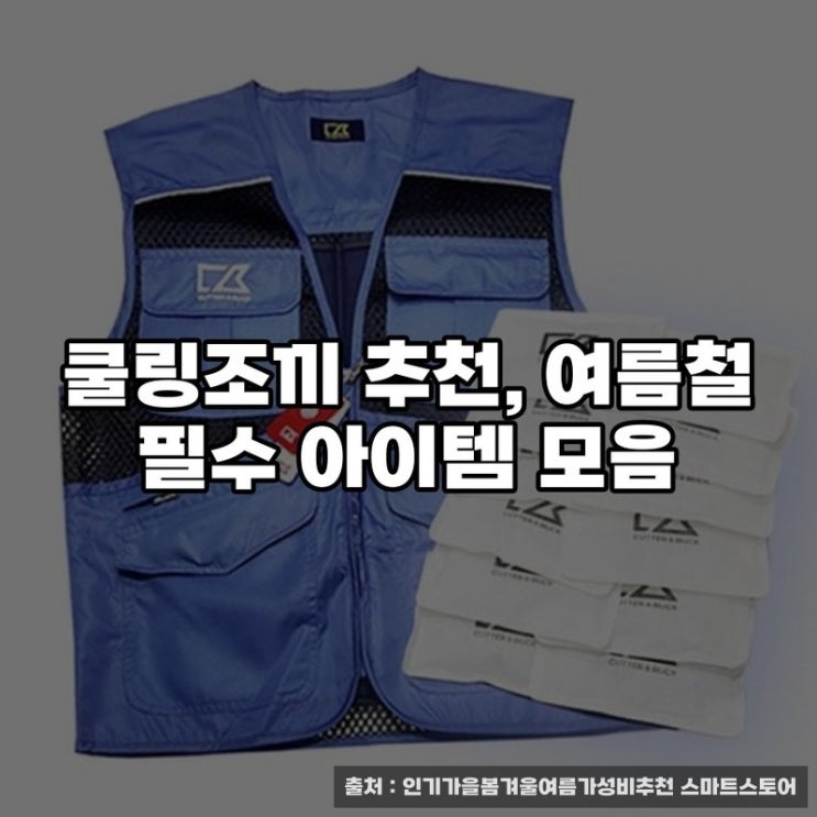  쿨링조끼 추천, 여름철 필수 아이템 모음