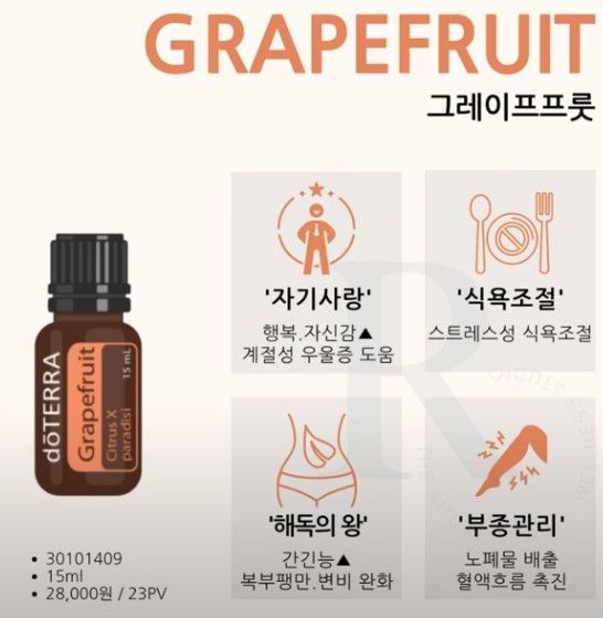  이 겨울 살찔까 봐 걱정이신가요! 도테라 자몽 오일 있다면 걱정 안 하셔도 됩니다.