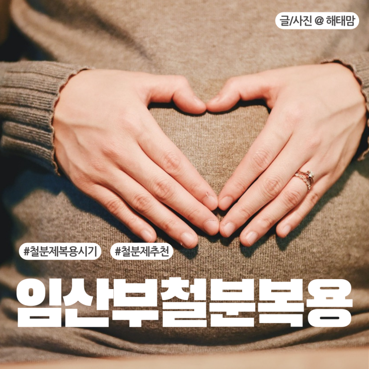  임산부 영양제 복용시기 16주 철분제 추천