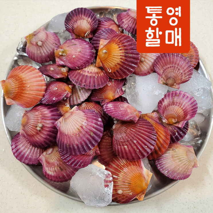  통영 홍가리비 4kg 제철 조개 가리비 구이 리뷰 - 실속 있는 선택