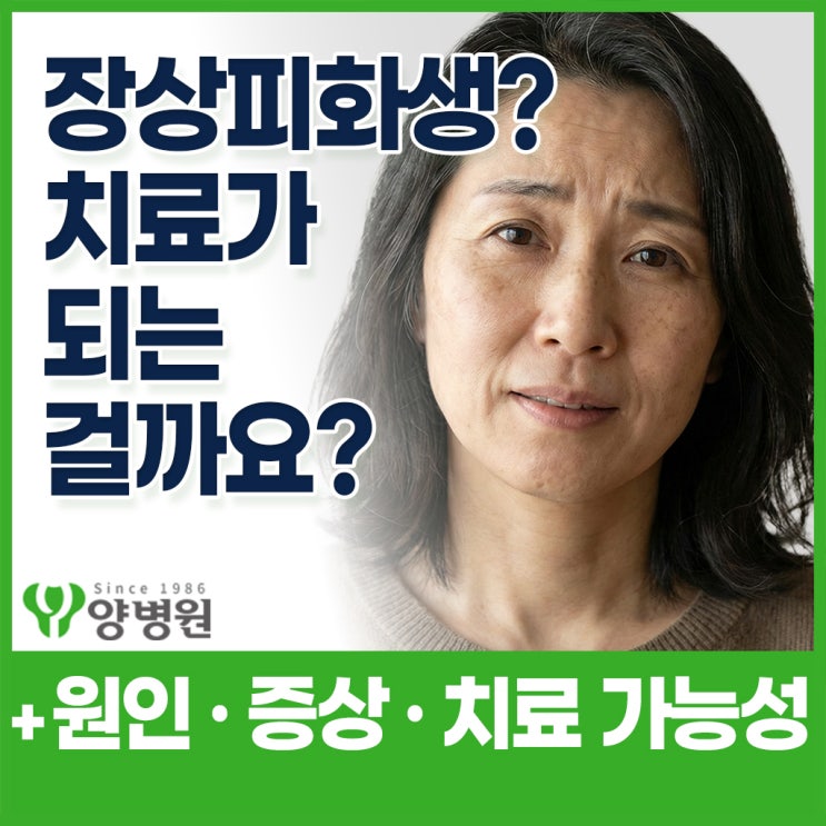  건강검진 결과지에 장상피화생? 원인이 헬리코박터와 위축성위염일까? 원인·증상·치료 가능성까지 한 번에 정리 | 길동역 소화기내과