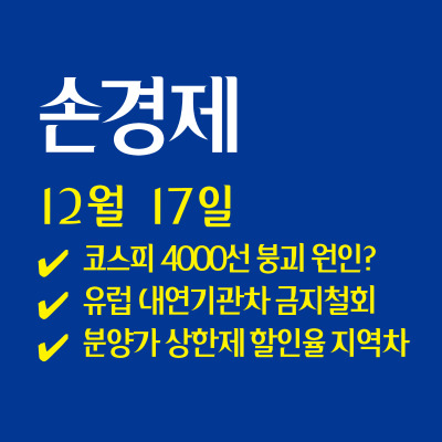  손경제 /  코스피 급락 원인 | 유럽 내연차 금지 철회 | 20251217(수)