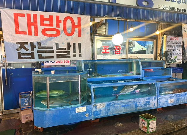 다원오징어나라 사진 2