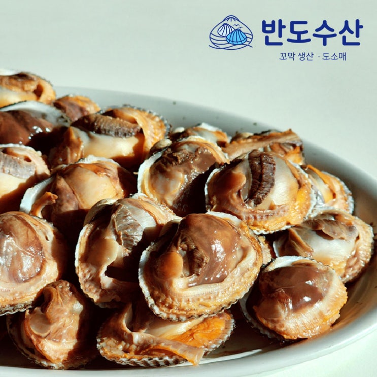  생산자 직판 제철 새꼬막 특대 1kg 리뷰 - 국산의 맛을 확인하다