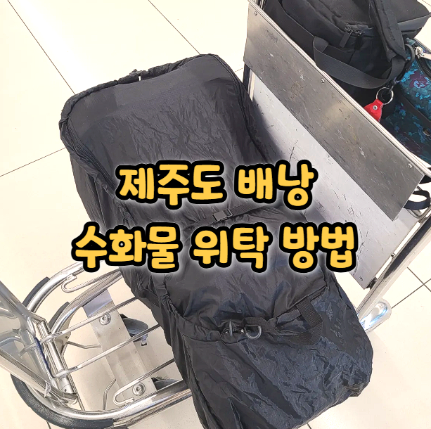  제주도 비행기 백패킹 배낭 수화물 위탁 방법